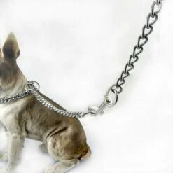 Veicolo Per Cani - Imbracatura Per Cani Da Viaggio Catena In Acciaio Inossidabile Guinzaglio Per Catena Di Sicurezza Per Auto Per Cani -Cibi per gatti Italia 71884783 4
