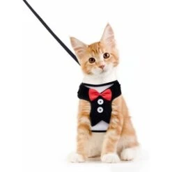 Pettorina E Guinzaglio Per Gatti, Resistenti Alla Fuga Di Gatti Regolabili, Abiti Da Festa Per Cuccioli Di Gattini Di Piccola Taglia
