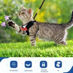 Pettorina E Guinzaglio Per Gatti, Resistenti Alla Fuga Di Gatti Regolabili, Abiti Da Festa Per Cuccioli Di Gattini Di Piccola Taglia -Cibi per gatti Italia 71884834 4