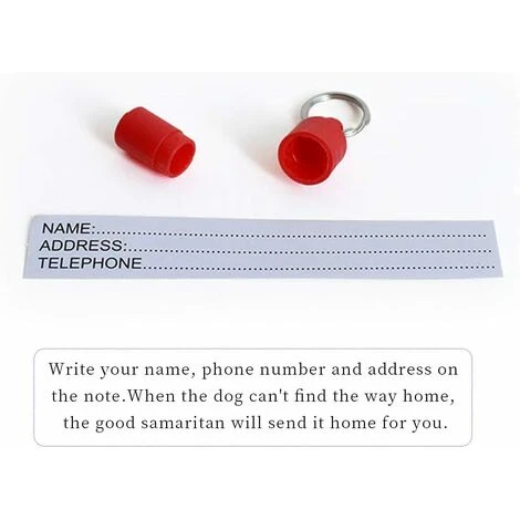 Medaglietta Per Animali Domestici Per Gatti, Cani Di Piccola Taglia, Cuccioli, A Forma Di Capsula 4 Medaglietta Per Animali Domestici Per Gatti, Cani Di Piccola Taglia, Cuccioli, A Forma Di Capsula - immagine 2