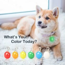 Lampada A Sospensione Per Cani, Lampada A LED Per Cani, 6 Luci Colorate Di Sicurezza Per Cani E Gatti Per Portachiavi, Ciclismo, Corsa, Escursionismo, Lampada A Sospensione A LED Impermeabile -Cibi per gatti Italia 71884970 3
