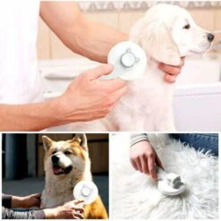 Spazzola Per Cani E Gatti, Spazzola Per Peli Morti Autopulente Spazzola Per Toelettatura Autopulente, Per Cani E Gatti Rimuove Efficacemente I Grovigli Di Pelo Sottopelo Tomentoso (grigio) -Cibi per gatti Italia 72553454 5