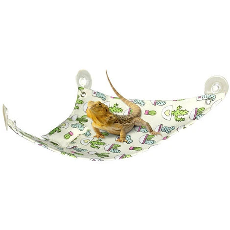Geckos Lucertole Rettile Amaca, Cactus Amaca Pad Piccolo Giocattolo Per Animali Domestici Letto Altalena Per Camaleonte Serpente Drago Barbuto 7 Geckos Lucertole Rettile Amaca, Cactus Amaca Pad Piccolo Giocattolo Per Animali Domestici Letto Altalena Per Camaleonte Serpente Drago Barbuto - immagine 5