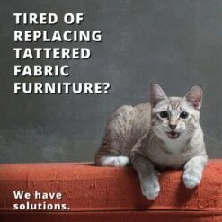 Tagliaunghie Per Animali Di Piccola Taglia - I Migliori Tagliaunghie Per Gatti E Tagliaunghie Per Kit Per La Cura Della Casa -Cibi per gatti Italia 73334151 4