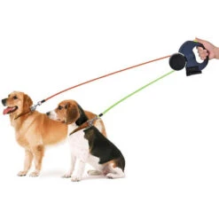 Cavo Di Trazione Telescopico A Doppia Estremità Per Animazioni Di Compagnie Di Alta Qualità Con Illuminazione A LED -Cibi per gatti Italia 73912217 4