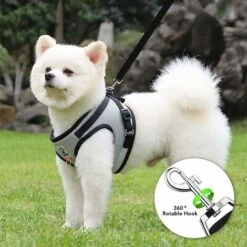 Set Di Imbracature Antifuga Per Gatti, Collari E Guinzagli Per Imbracature Per Gatti, Imbracature Per Gatti Riflettenti Regolabili, Imbracature Per Gatti, Traspiranti, Per Cani Di Piccola Taglia (2 Pe -Cibi per gatti Italia 74926906 5