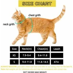 Imbracatura Regolabile Per Guinzaglio Per Gatti, Imbracatura Per Gatti Anti-fuga Da 150 Cm Con Guinzaglio Estensibile, Imbracatura Per Gatti Comoda E Traspirante Per Corsa, Allenamento, Gatto Medio E -Cibi per gatti Italia 74926972 5