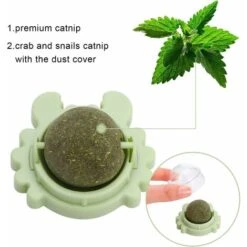 Pezzi Palla Di Erba Gatta A Parete, Giocattolo Palla Di Erba Gatta, Giocattolo Palla Di Erba Gatta Girevole A 360° Per Gatti Pulire I Denti E Attirare I Gatti 9 Pezzi Palla Di Erba Gatta A Parete, Giocattolo Palla Di Erba Gatta, Giocattolo Palla Di Erba Gatta Girevole A 360° Per Gatti Pulire I Denti E Attirare I Gatti -Cibi per gatti Italia 74926981 3