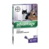 Antiparassitario Advantage Gatti Bayer Open - Kg 4+ Cf=pz 4 1191208 -Cibi per gatti Italia 76805491 1
