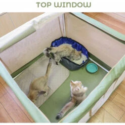 Box Per Animali Domestici Tenda A Rete Pieghevole Per Cani Con Borsa Per Il Trasporto Per Gattini, Gatti, Cuccioli, Cani (verde Militare, L) -Cibi per gatti Italia 77492463 5