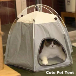 Tenda Per Animali Domestici Impermeabile Antigraffio In Tessuto Oxford Tenda Per Animali Domestici Esagonale Pieghevole Casa Per Animali Domestici Lavabile Cute Puppy Kennel Cat Kitten Dog Tenda Da Ca 10 Tenda Per Animali Domestici Impermeabile Antigraffio In Tessuto Oxford Tenda Per Animali Domestici Esagonale Pieghevole Casa Per Animali Domestici Lavabile Cute Puppy Kennel Cat Kitten Dog Tenda Da Ca -Cibi per gatti Italia 77493237 4