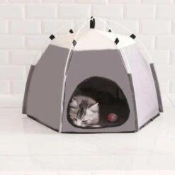 Tenda Per Animali Domestici Impermeabile Antigraffio In Tessuto Oxford Tenda Per Animali Domestici Esagonale Pieghevole Casa Per Animali Domestici Lavabile Cute Puppy Kennel Cat Kitten Dog Tenda Da Ca 11 Tenda Per Animali Domestici Impermeabile Antigraffio In Tessuto Oxford Tenda Per Animali Domestici Esagonale Pieghevole Casa Per Animali Domestici Lavabile Cute Puppy Kennel Cat Kitten Dog Tenda Da Ca -Cibi per gatti Italia 77493237 5