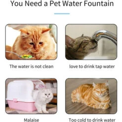 Fontana Per Gatti 2L / 67oz Fontanella Per Animali Domestici In Acciaio Inossidabile Semi Distributore Automatico Di Acqua Con Pompa Dell'Acqua Silenziosa Per Cane Gatto Altri Animali Domestici 5V -Cibi per gatti Italia 79171612 3