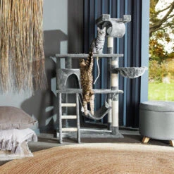 Tiragraffi Marcel - Giochi Per Gatti, Cuccia Per Gatti, Accessori Per Gatti -Cibi per gatti Italia 8008950 4