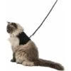 Pettorina Morbida Con Guinzaglio Per Gatto - XXL - 36 - 54 Cm - Trixie -Cibi per gatti Italia 80940194 1
