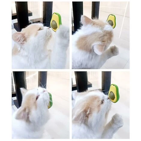 Catnip Ball Jouets Comestibles Pour Chats Lécher Les Ammaccature Nettoyage Des Ammaccature Chat Dentaire 4 Catnip Ball Jouets Comestibles Pour Chats Lécher Les Ammaccature Nettoyage Des Ammaccature Chat Dentaire - immagine 2