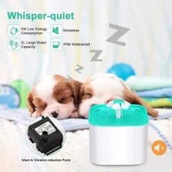 None Fontanella Per Gatti Fontana Per Gatti Silenziosa Fontanella Per Cani Fontanella Gatti Con Luci A LED 2 Litri 6 None Fontanella Per Gatti Fontana Per Gatti Silenziosa Fontanella Per Cani Fontanella Gatti Con Luci A LED 2 Litri -Cibi per gatti Italia 81351819 3