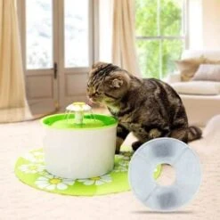 None Filtri Per Filtro Acqua Fontana Per Gatti Filtro Di Ricambio Per Fontana Per Gatti Filtro Di Ricambio Per Cane/gatto 8 Pezzi 9 None Filtri Per Filtro Acqua Fontana Per Gatti Filtro Di Ricambio Per Fontana Per Gatti Filtro Di Ricambio Per Cane/gatto 8 Pezzi -Cibi per gatti Italia 81947034 4