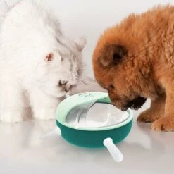 RHAFAYRE Alimentatore Per Capezzoli Per Animali Domestici 180 Ml Custodia Protettiva Dispositivo Per Allattamento In Silicone (viola) -Cibi per gatti Italia 85314776 3