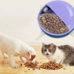 RHAFAYRE Alimentatore Per Capezzoli Per Animali Domestici 180 Ml Custodia Protettiva Dispositivo Per Allattamento In Silicone (viola) -Cibi per gatti Italia 85314776 4