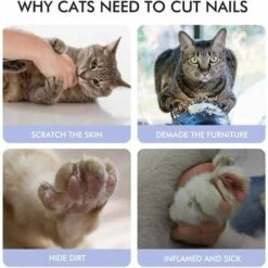 Tagliaunghie, Tagliaunghie Per Animali Domestici, Fermagli Per Unghie In Acciaio Inossidabile Con Lima Per Unghie E Restrizione Di Sicurezza, Per Cani, Gatti, Uccelli, Roditori E Artigli Di Qualsiasi 10 Tagliaunghie, Tagliaunghie Per Animali Domestici, Fermagli Per Unghie In Acciaio Inossidabile Con Lima Per Unghie E Restrizione Di Sicurezza, Per Cani, Gatti, Uccelli, Roditori E Artigli Di Qualsiasi -Cibi per gatti Italia 85911661 4