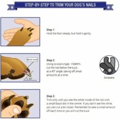 Tagliaunghie, Tagliaunghie Per Animali Domestici, Fermagli Per Unghie In Acciaio Inossidabile Con Lima Per Unghie E Restrizione Di Sicurezza, Per Cani, Gatti, Uccelli, Roditori E Artigli Di Qualsiasi 11 Tagliaunghie, Tagliaunghie Per Animali Domestici, Fermagli Per Unghie In Acciaio Inossidabile Con Lima Per Unghie E Restrizione Di Sicurezza, Per Cani, Gatti, Uccelli, Roditori E Artigli Di Qualsiasi -Cibi per gatti Italia 85911661 5