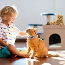 Relaxdays Cassapanca Con Cuccia Per Gatti, Panca Con Tana Per Animali Domestici, HLP 38,5 X 74,5 X 37 Cm, Marrone Chiaro -Cibi per gatti Italia 86611304 3