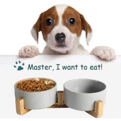 Ciotola Per Cani In Ceramica Con Supporto In Bambù Antiscivolo -Cibi per gatti Italia 86846758 3