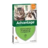 ANTIPARASSITARIO ADVANTAGE GATTI BAYER OPEN • KG 0/4 CF=PZ 4