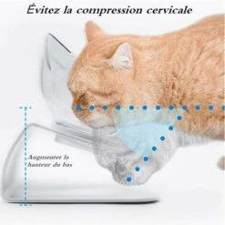 Ciotola Per Gatti Rialzata E Inclinata, Ciotola Di Appoggio Per Gatto O Cane Di Piccola Taglia -Cibi per gatti Italia 91192027 3
