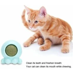 Palla Da Masticare Con Erba Gatta, Snack Per Gatti Spin Ball Leccare Caramelle Giocattolo Aiutare La Digestione Masticare Denti Puliti Stuzzicare Giocattolo Per Gatti (blu) -Cibi per gatti Italia 91198352 5