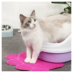 Tappetino Per Lettiera Per Gatti, Tappetino Per La Pulizia Della Ciotola Per Lettiera Per Gatti 30 X 40 Cm (rosa) -Cibi per gatti Italia 91731416 4