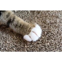 Tiragraffi Tavoletta Per Gatti In Cartone Inclusa Busta Erba Gatta -Cibi per gatti Italia 92536406 4