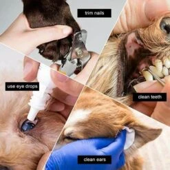 None Amaca Per Animali Domestici Nero -Cibi per gatti Italia 92956351 3