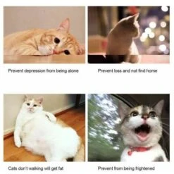 None Gilet Gatto Rosa 9 None Gilet Gatto Rosa -Cibi per gatti Italia 92956764 4