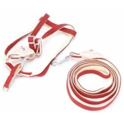 None Guinzaglio Per Imbracatura Per Gatti