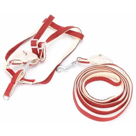 None Guinzaglio Per Imbracatura Per Gatti 3 None Guinzaglio Per Imbracatura Per Gatti