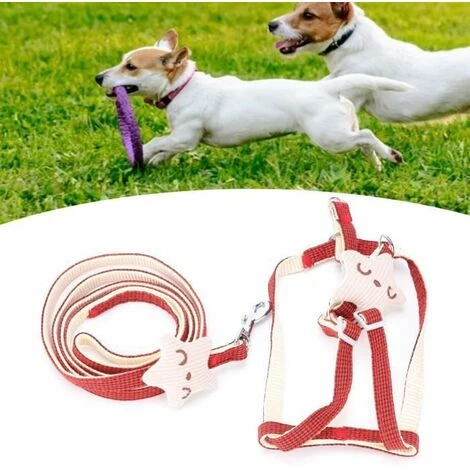 None Guinzaglio Per Imbracatura Per Gatti 4 None Guinzaglio Per Imbracatura Per Gatti - immagine 2