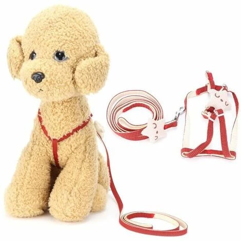 None Guinzaglio Per Imbracatura Per Gatti 5 None Guinzaglio Per Imbracatura Per Gatti - immagine 3