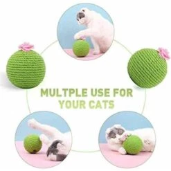 None Giocattolo Per Gatti - Palline Di Sisal - Cactus - Giocattolo Interattivo Da Masticare -Cibi per gatti Italia 92968689 3