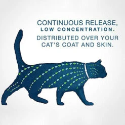 Collari Per Animali Domestici, Antipulci E Zecche Per Gatti Prevenzione Pulci E Zecche 8 Mesi Cat Dogs Gattini Collari Antipulci (per Gattino E Cucciolo 38 Cm) -Cibi per gatti Italia 93427769 5