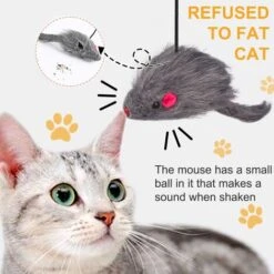 Giocattolo Per Gatti 2 Pezzi, Giocattolo Per Gatti Appeso Interattivo, Topo Giocattolo Per Gatti, Rompicapo Con Ventosa, Giocattolo Interattivo Per Gatti Con Corda E Topo Di Peluche 10 Giocattolo Per Gatti 2 Pezzi, Giocattolo Per Gatti Appeso Interattivo, Topo Giocattolo Per Gatti, Rompicapo Con Ventosa, Giocattolo Interattivo Per Gatti Con Corda E Topo Di Peluche -Cibi per gatti Italia 94284997 4