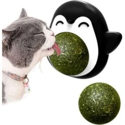 Palla Di Erba Gatta Giocattolo Per Gatti Palla Di Erba Gatta Giocattoli Da Interno Per Giocare Con I Gatti Può Essere Ruotata Di 360° Con Tappo Di Stoccaggio E 1 Palla Di Erba Gatta Sostituibile