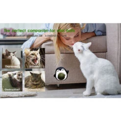 Palla Di Erba Gatta Giocattolo Per Gatti Palla Di Erba Gatta Giocattoli Da Interno Per Giocare Con I Gatti Può Essere Ruotata Di 360° Con Tappo Di Stoccaggio E 1 Palla Di Erba Gatta Sostituibile -Cibi per gatti Italia 94287537 4