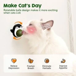 Palla Di Erba Gatta Giocattolo Per Gatti Palla Di Erba Gatta Giocattoli Da Interno Per Giocare Con I Gatti Può Essere Ruotata Di 360° Con Tappo Di Stoccaggio E 1 Palla Di Erba Gatta Sostituibile -Cibi per gatti Italia 94287537 5