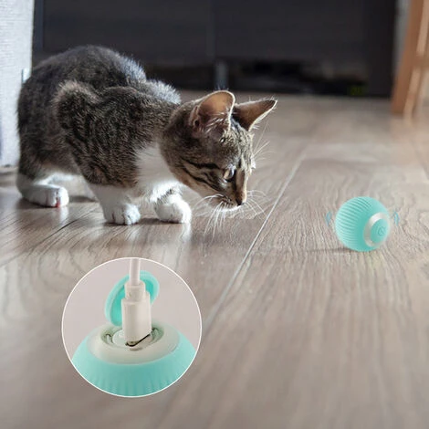 Giocattolo Interattivo Con Palla Per Gatti, Giocattolo Per Animali Domestici Con Ricarica USB Intelligente Per Interni Con Movimento Automatico Intelligente Con Luce, Regalo Divertente Per Gattino 6 Giocattolo Interattivo Con Palla Per Gatti, Giocattolo Per Animali Domestici Con Ricarica USB Intelligente Per Interni Con Movimento Automatico Intelligente Con Luce, Regalo Divertente Per Gattino - immagine 4
