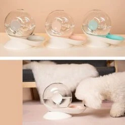 Snails Bubble Automatic Cat Water Bowl Distributore D'acqua Per Fontane Per Animali Domestici Ciotola Per Bere Per Gatti Di Grandi Dimensioni 8 Snails Bubble Automatic Cat Water Bowl Distributore D'acqua Per Fontane Per Animali Domestici Ciotola Per Bere Per Gatti Di Grandi Dimensioni -Cibi per gatti Italia 94292196 3