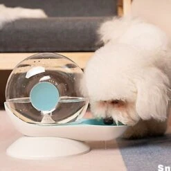 Snails Bubble Automatic Cat Water Bowl Distributore D'acqua Per Fontane Per Animali Domestici Ciotola Per Bere Per Gatti Di Grandi Dimensioni 9 Snails Bubble Automatic Cat Water Bowl Distributore D'acqua Per Fontane Per Animali Domestici Ciotola Per Bere Per Gatti Di Grandi Dimensioni -Cibi per gatti Italia 94292196 4
