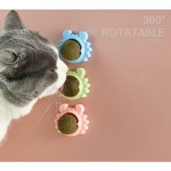 4 Pezzi Catnip Ball Con Coperchio, Rotazione A 360 °, Catnip Wall Ball, Catnip Toy, Cat Toy, Catnip Ball -Cibi per gatti Italia 94307278 3