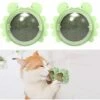 2 Pezzi Palla Di Erba Gatta Con Coperchio, Rotazione A 360°, Sfera Di Erba Gatta, Giocattolo Di Erba Gatta, Giocattolo Per Gatti, Palla Di Erba Gatta - Verde -Cibi per gatti Italia 94307384 1